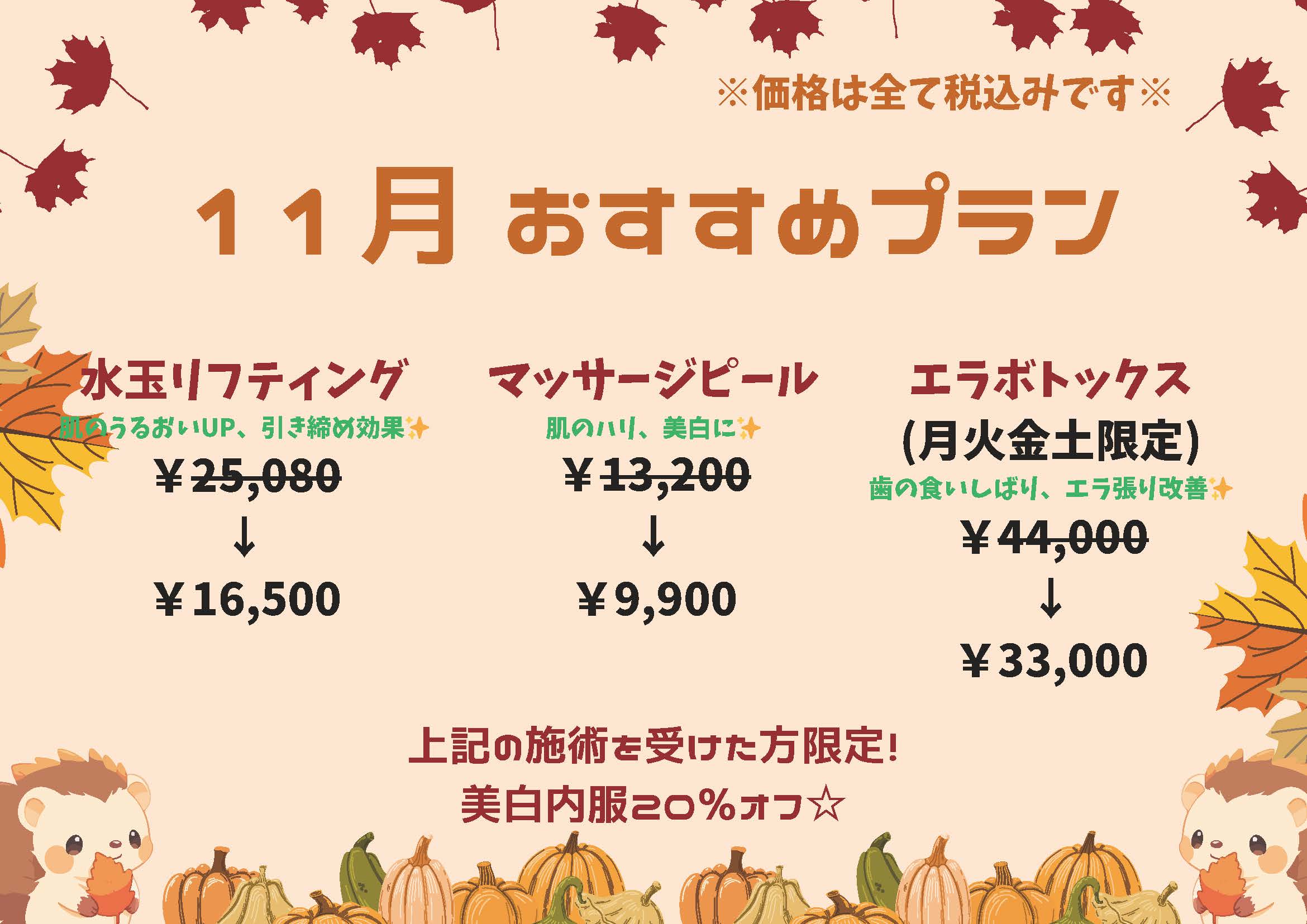 おすすめプラン 11月