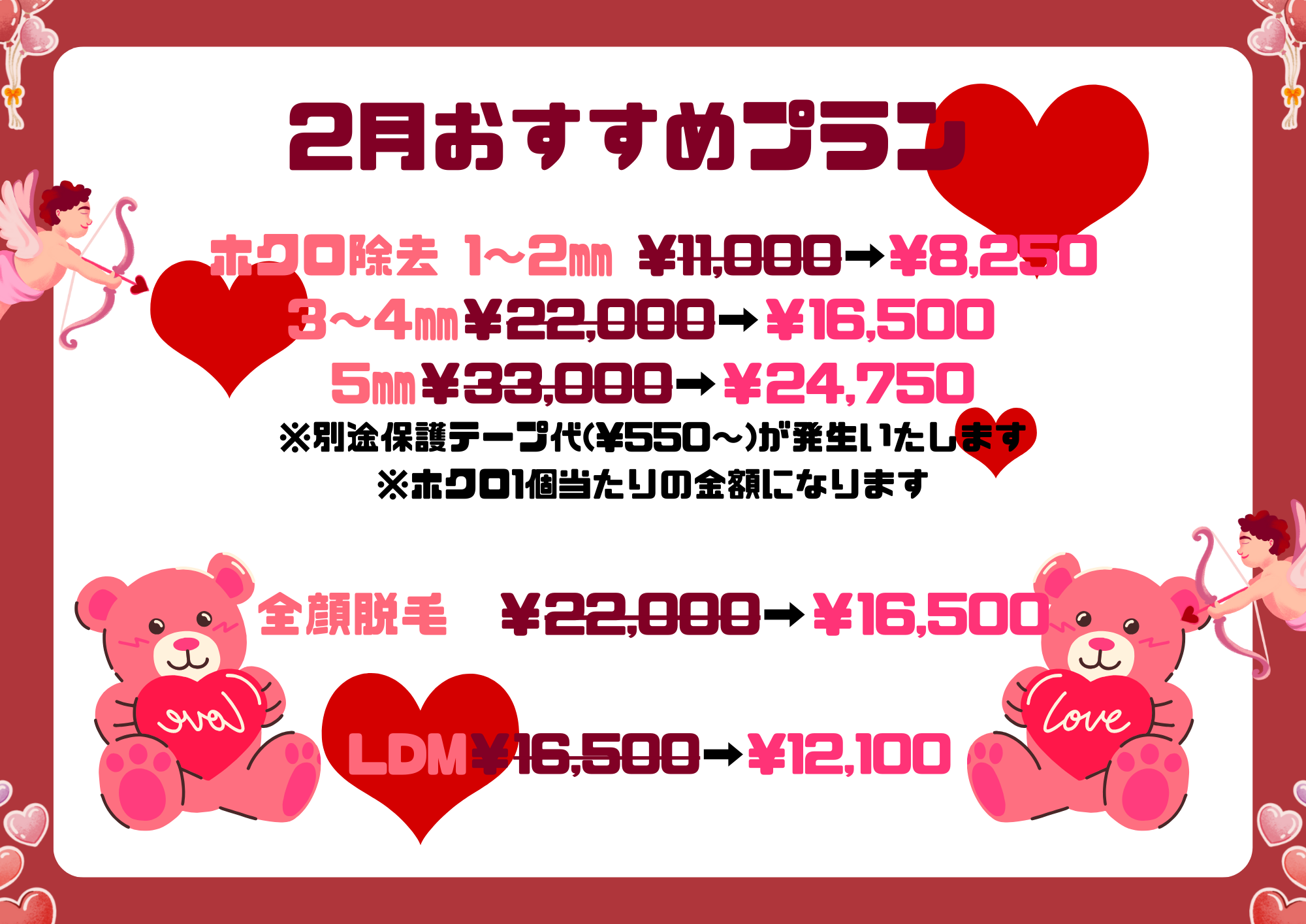 おすすめプラン 2月