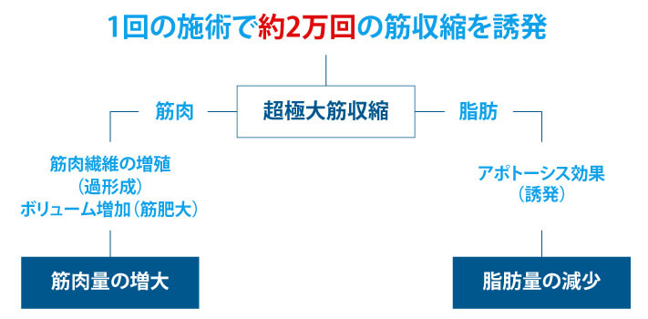 1回の施術で約2万回の筋収縮を誘発