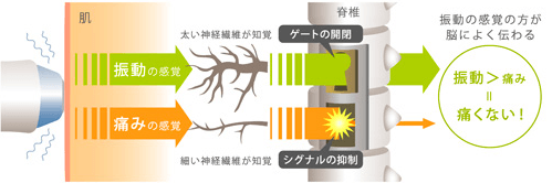 痛みを軽減するバイブレーション機能