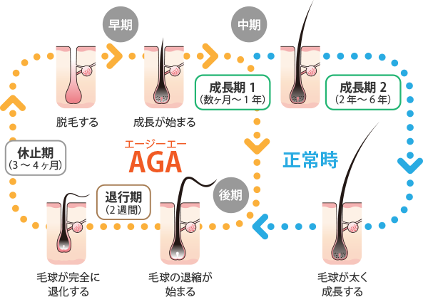 ヘアサイクル