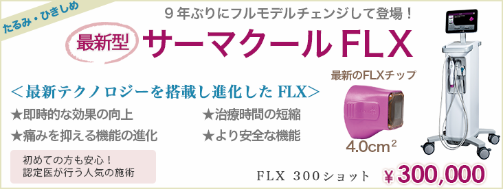 サーマクールFLX