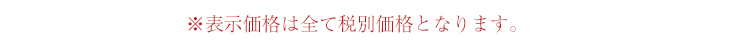 表示価格はすべて税別価格となります